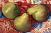 3-Pears.jpg (60921 bytes)