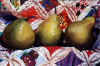 Pears on Quilt.jpg (64527 bytes)