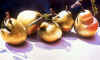 Sunlit Pears.jpg (48163 bytes)